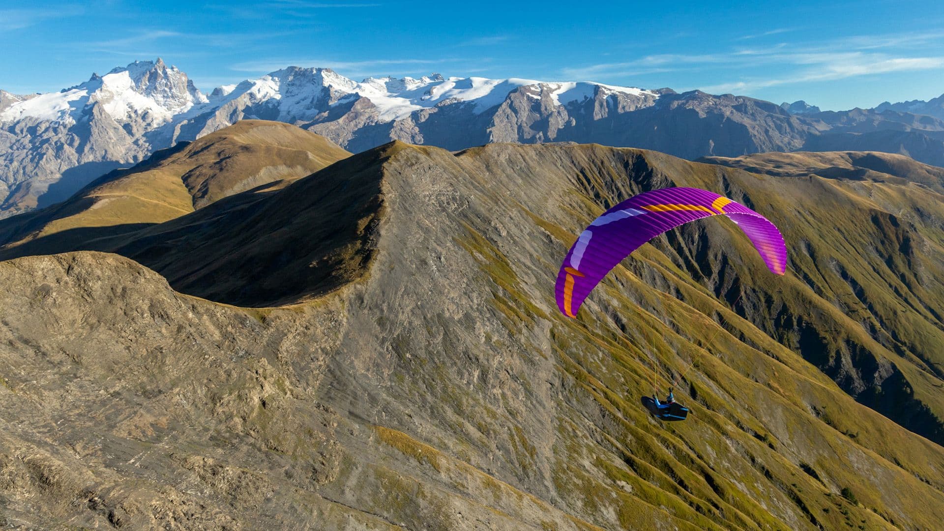 paragliders hero image