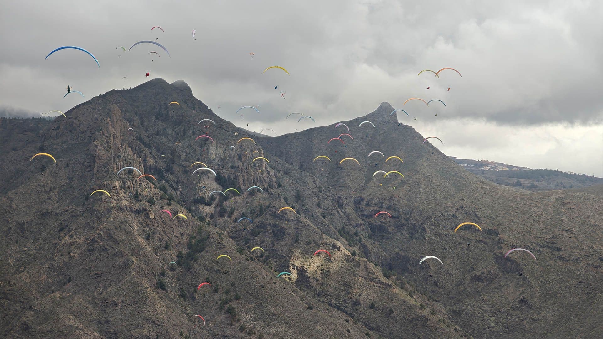 paragliders hero image