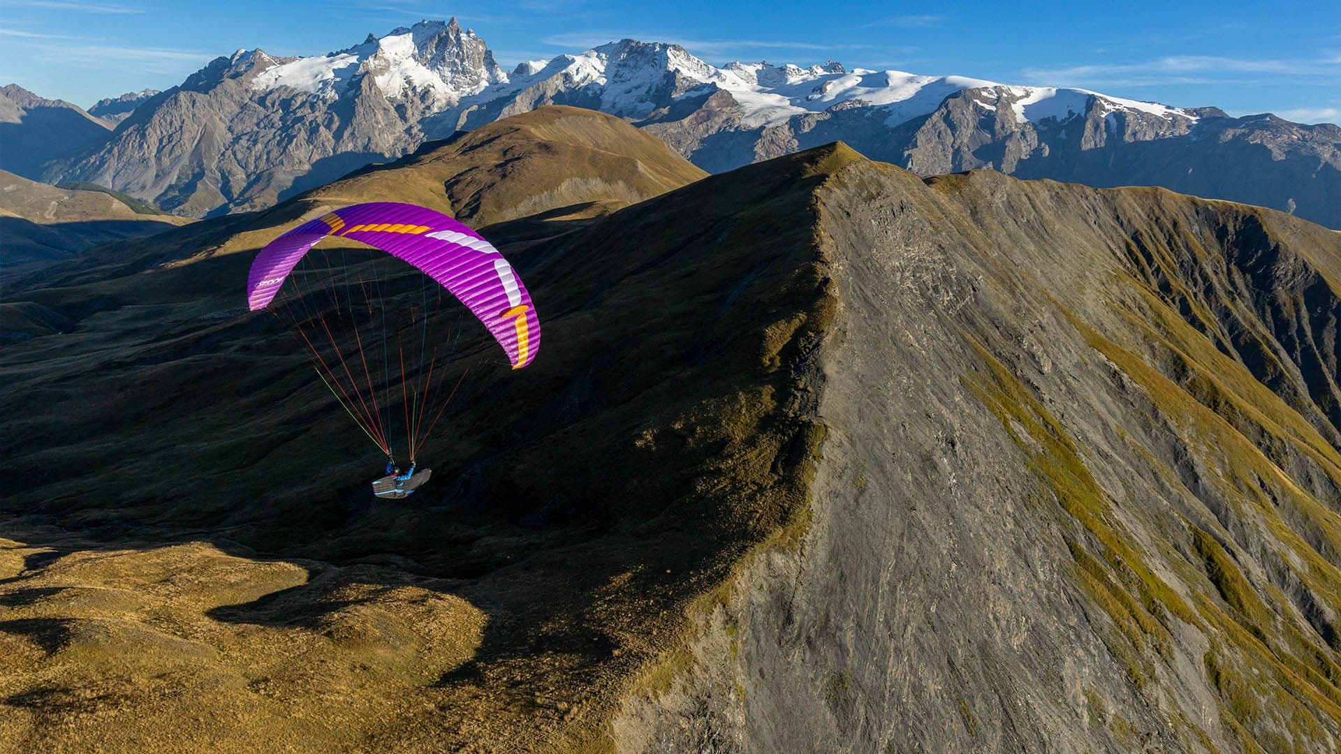 paragliders hero image