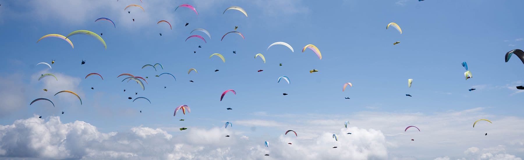 paragliders hero image