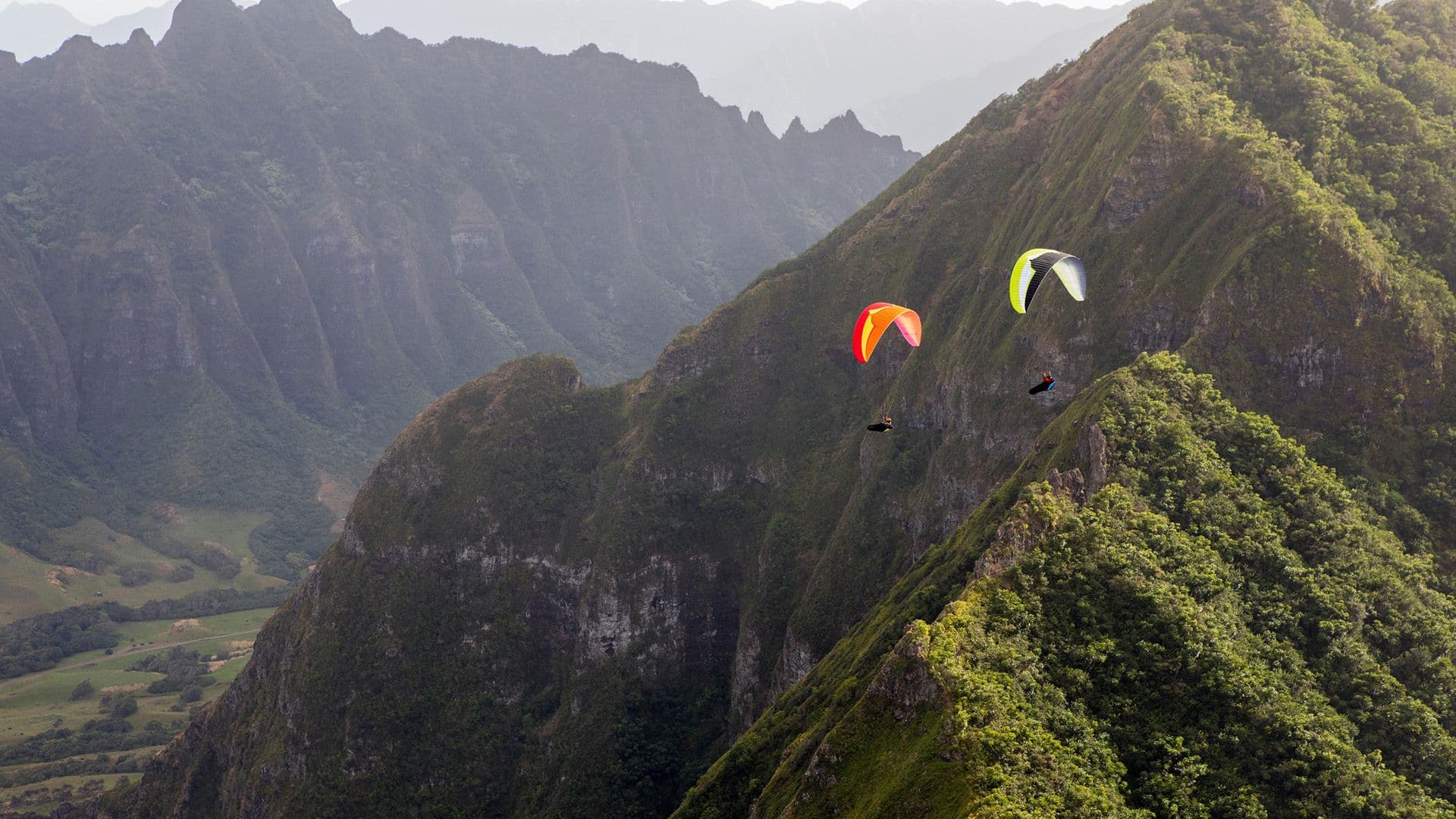 paragliders hero image