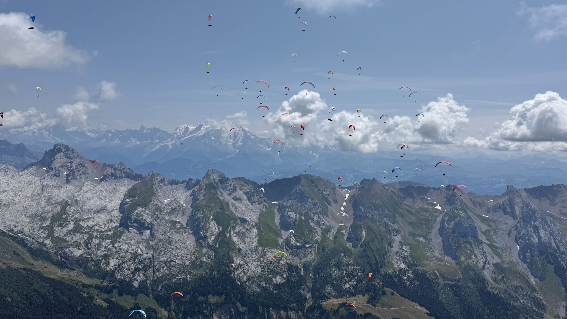 paragliders hero image