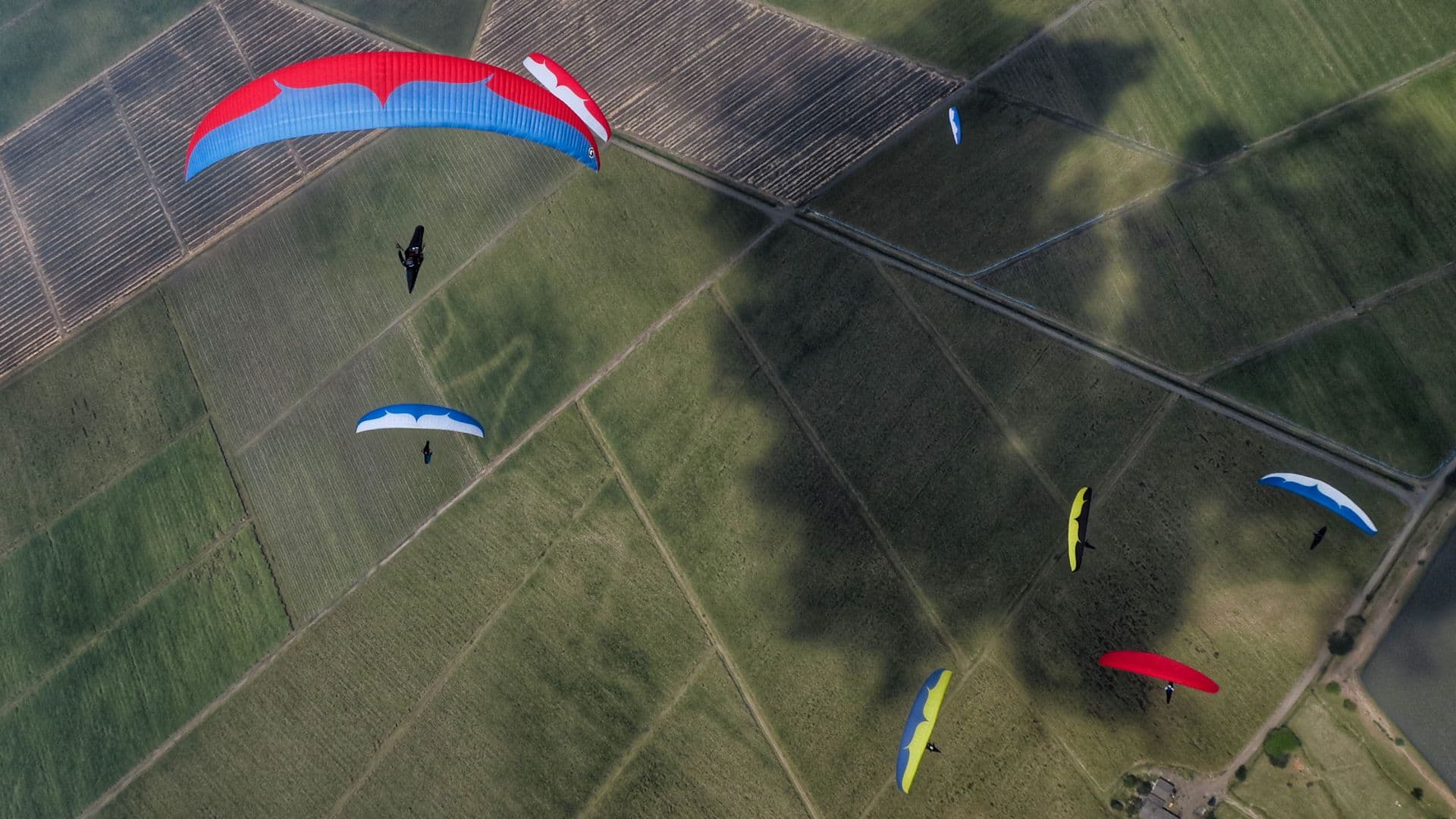 paragliders hero image