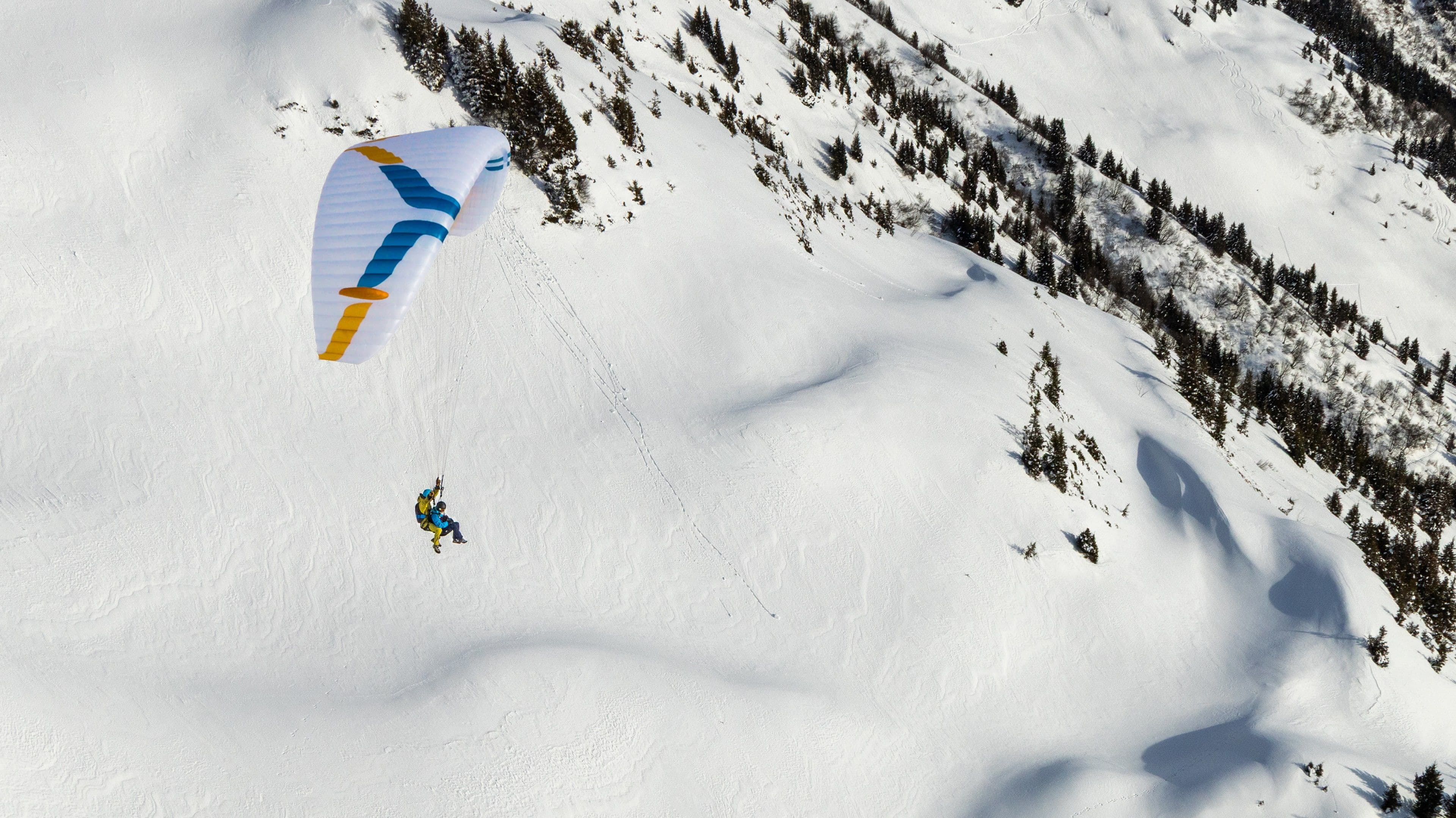 paragliders hero image