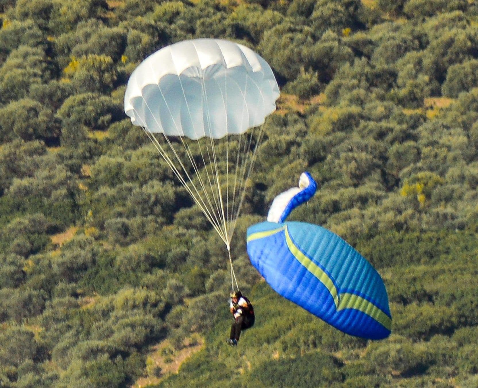 In Volo