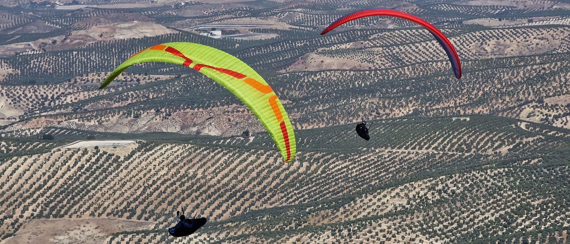 paragliders hero image